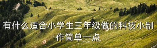 有什么適合小學(xué)生三年級(jí)做的科技小制作簡(jiǎn)單一點(diǎn)