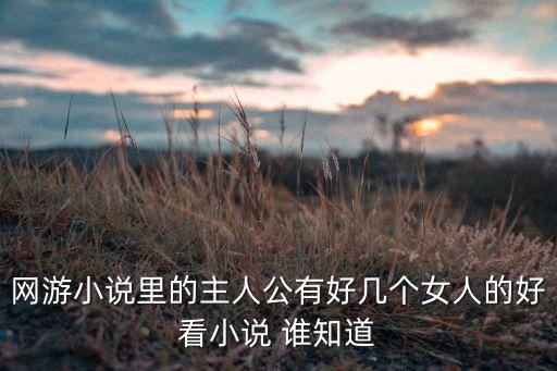 網(wǎng)游小說(shuō)里的主人公有好幾個(gè)女人的好看小說(shuō) 誰(shuí)知道