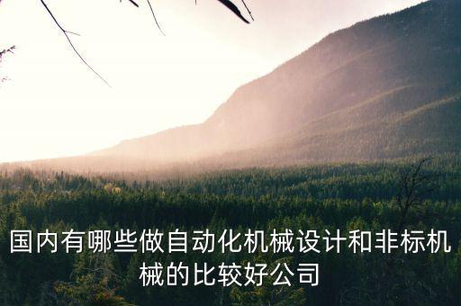 國內(nèi)有哪些做自動化機(jī)械設(shè)計和非標(biāo)機(jī)械的比較好公司