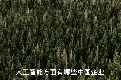 人工智能方面有哪些中國企業(yè)