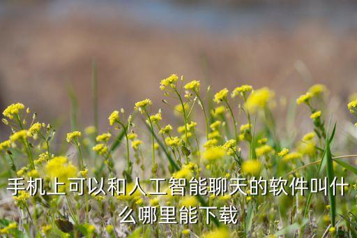 手機(jī)上可以和人工智能聊天的軟件叫什么哪里能下載