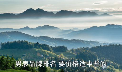 男表品牌排名 要價格適中些的