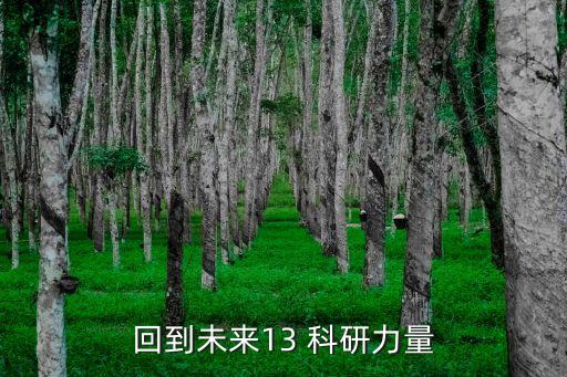 回到未來(lái)13 科研力量