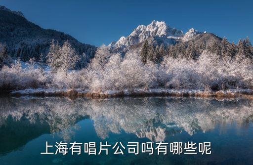上海有唱片公司嗎有哪些呢
