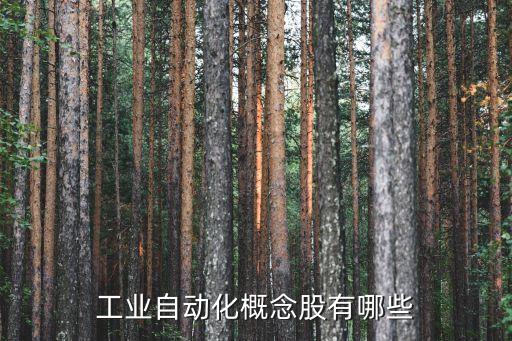 工業(yè)自動(dòng)化概念股有哪些