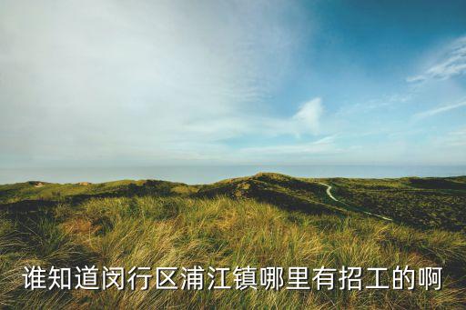 誰(shuí)知道閔行區(qū)浦江鎮(zhèn)哪里有招工的啊