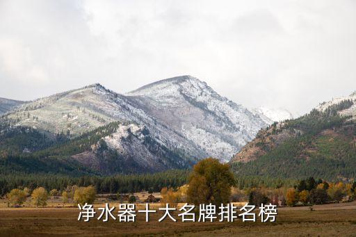 凈水器十大名牌排名榜