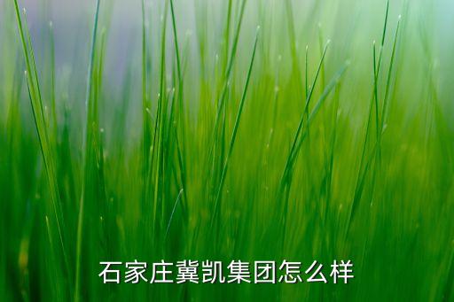 冀凱河北機電科技有限公司，河北冀凱集團是國資么
