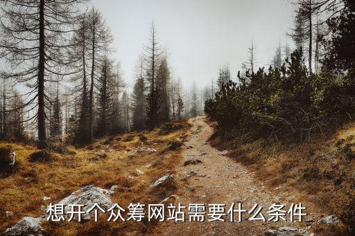 想開個眾籌網(wǎng)站需要什么條件