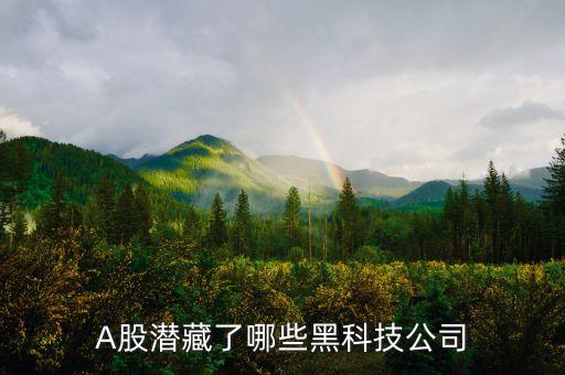 炒股黑科技軟件，龍的天空的各大版塊