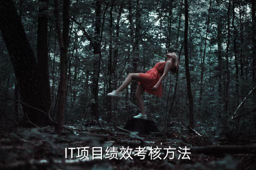 IT項(xiàng)目績(jī)效考核方法