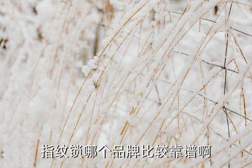 什么牌子的指紋鎖安全質(zhì)量好，指紋鎖有哪些品牌質(zhì)量好
