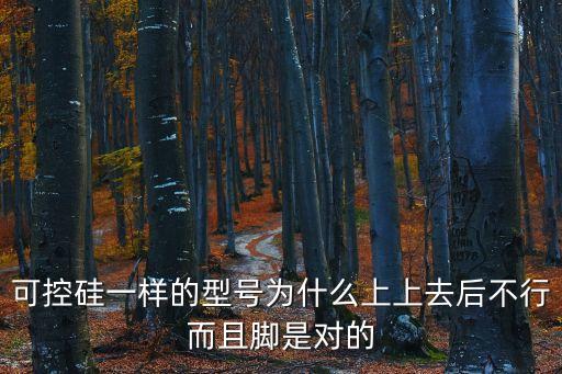 semikron可控硅模塊，德國西門康與德國賽米控是什么關(guān)系正確的可控硅模塊終究是什么