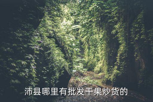 沛縣哪里有批發(fā)干果炒貨的