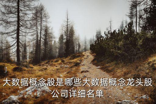 大數(shù)據(jù)概念股是哪些大數(shù)據(jù)概念龍頭股公司詳細名單