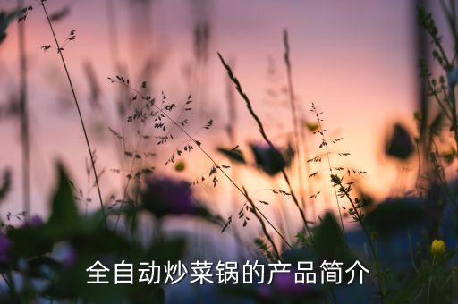 全自動(dòng)炒菜鍋商用，全自動(dòng)炒菜鍋多少錢一臺(tái)啊