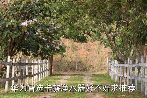 華為智選卡赫凈水器好不好求推薦