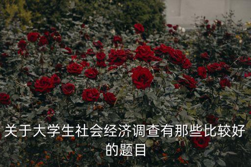 關于大學生社會經(jīng)濟調(diào)查有那些比較好的題目