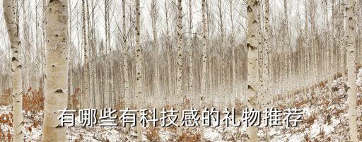 科技禮物什么好，生日買什么高科技禮物好
