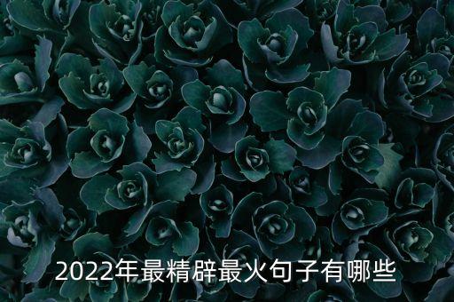 2022年最精辟最火句子有哪些