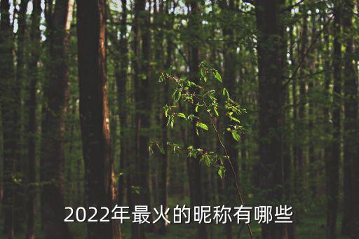 2022年最火的昵稱(chēng)有哪些