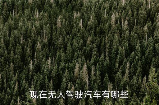 現(xiàn)在無人駕駛汽車有哪些