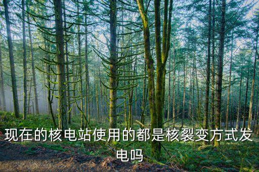中國可控核聚變領(lǐng)先嗎，網(wǎng)上說中國可控核聚變已領(lǐng)先世界 首次點火持續(xù)1000秒 已領(lǐng)先世界是
