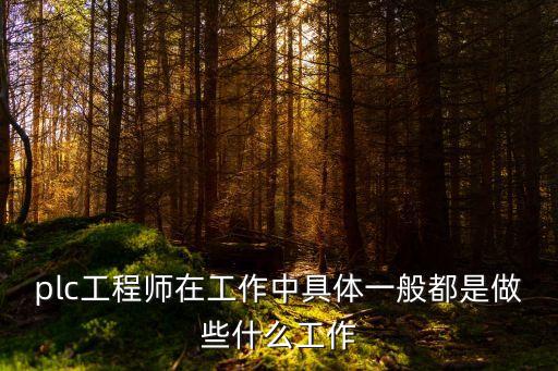 plc工程師在工作中具體一般都是做些什么工作