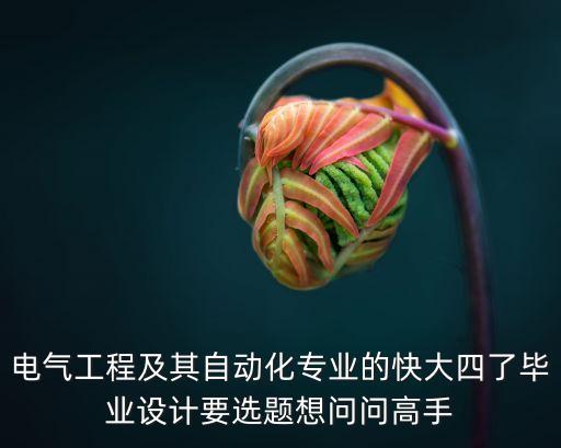 電氣工程及其自動(dòng)化專業(yè)的快大四了畢業(yè)設(shè)計(jì)要選題想問(wèn)問(wèn)高手
