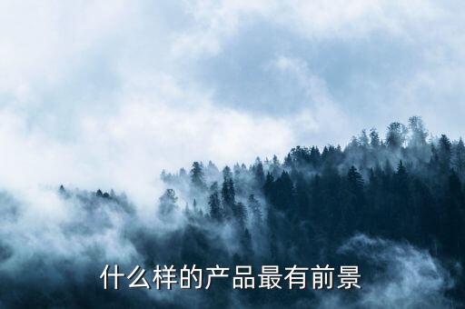 什么樣的產(chǎn)品最有前景