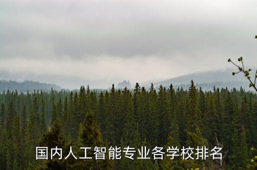 國內人工智能專業(yè)各學校排名