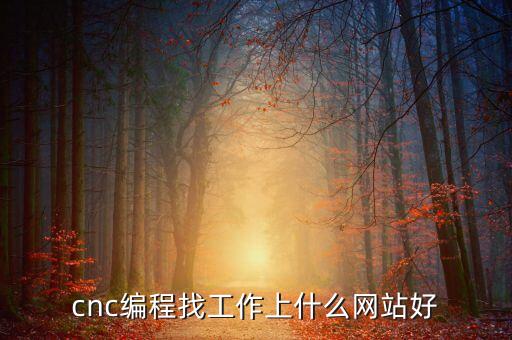 cnc外發(fā)加工網(wǎng)站，推薦幾個機(jī)械加工數(shù)控機(jī)床方面的網(wǎng)站沒有最好只有更好