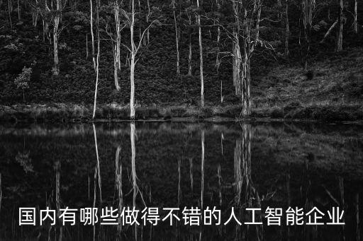 國內(nèi)有哪些做得不錯的人工智能企業(yè)