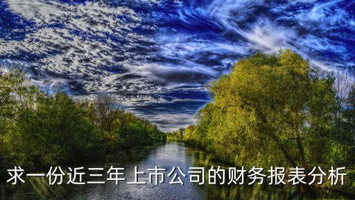 求一份近三年上市公司的財(cái)務(wù)報(bào)表分析