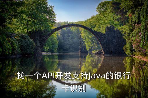 找一個API開發(fā)支持Java的銀行卡識別