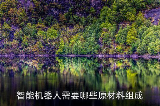 智能機(jī)器人材料有哪些，智能機(jī)器人需要哪些原材料組成