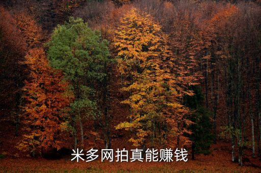 米多網(wǎng)拍真能賺錢(qián)
