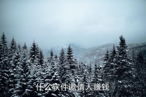 什么軟件邀請(qǐng)人賺錢