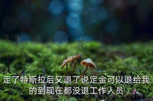 定了特斯拉后又退了說定金可以退給我的到現(xiàn)在都沒退工作人員
