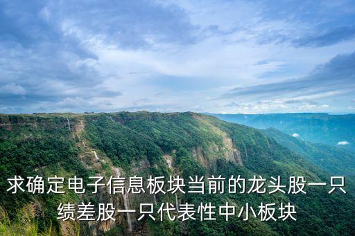 求確定電子信息板塊當(dāng)前的龍頭股一只績(jī)差股一只代表性中小板塊