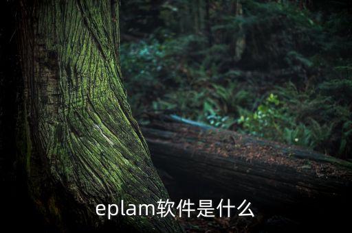 艾莫迅plc編程軟件是什么，PLC編程軟件是什么意思啊