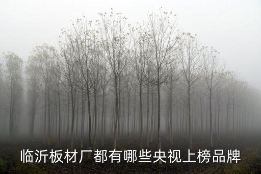山東臨沂板材生產(chǎn)廠家，臨沂板材廠都有哪些央視上榜品牌