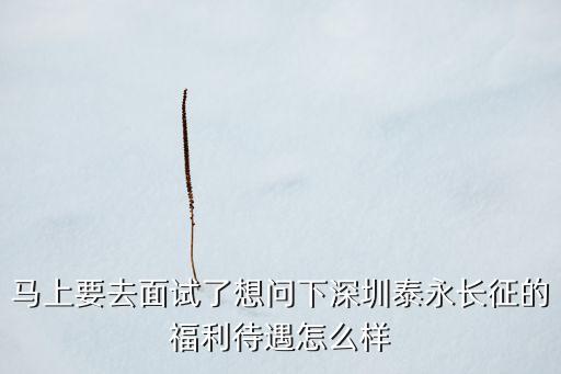 深圳泰永電氣工作怎么樣，深圳泰永怎么樣