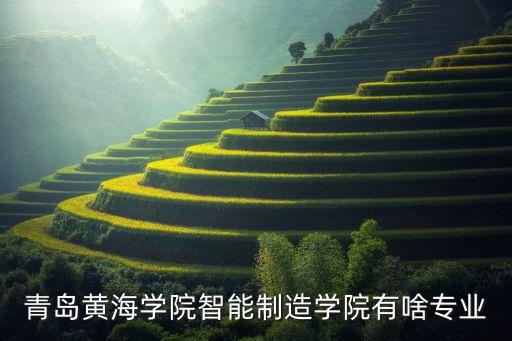 青島黃海學(xué)院智能制造學(xué)院有啥專(zhuān)業(yè)