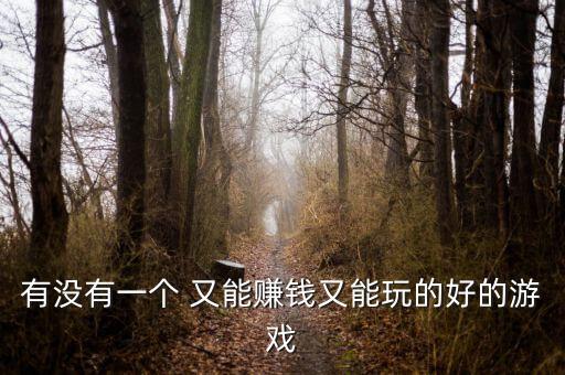 有沒有掙錢的游戲能掙錢的游戲，有沒有一個(gè) 又能賺錢又能玩的好的游戲