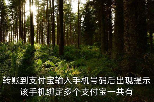 轉賬到支付寶輸入手機號碼后出現(xiàn)提示該手機綁定多個支付寶一共有