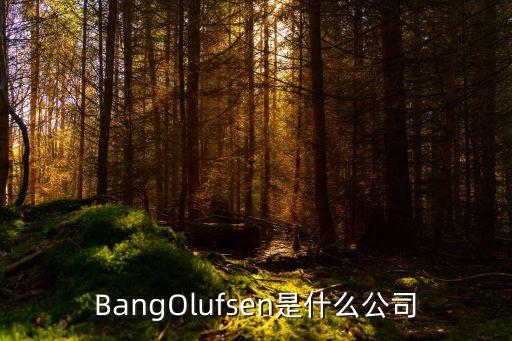 BangOlufsen是什么公司