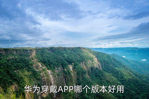 華為穿戴APP哪個版本好用