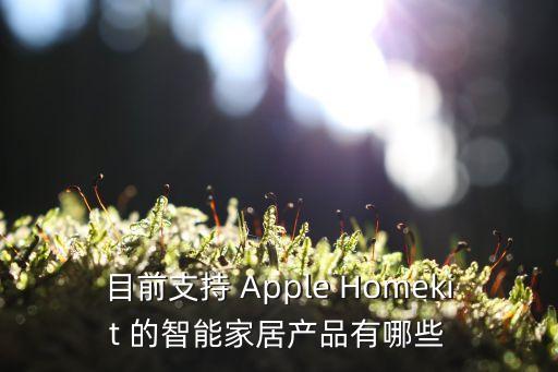 目前支持 Apple Homekit 的智能家居產(chǎn)品有哪些
