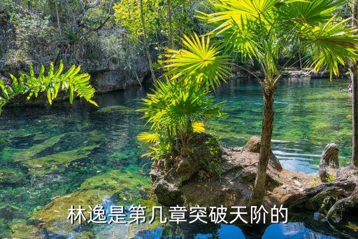 林逸是第幾章突破天階的